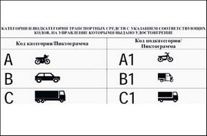 Новое в законодательстве: водительские права категории B1 &ndash; что это?