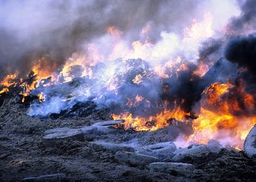 Срок не резиновый: за выброшенные в канаву покрышки могут и посадить