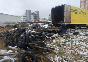 Срок не резиновый: за выброшенные в канаву покрышки могут и посадить