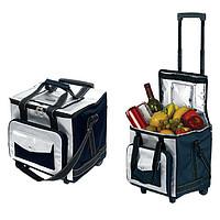 Выбираем лучший автомобильный холодильник