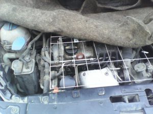 Защита двигателя зимой: как сохранить тепло