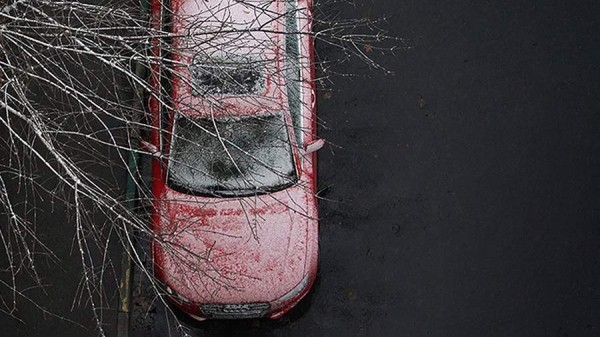 В Москве водителей призвали не парковаться под деревьями из-за непогоды
