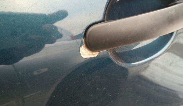 Почему весной водитель обязан заглядывать под дверные ручки своего авто