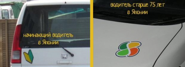 Интересные факты о ПДД со всего мира