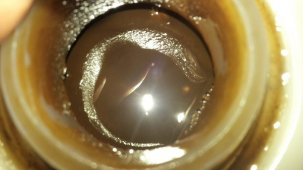 Моторное масло в антифризе: почему возникает неисправность