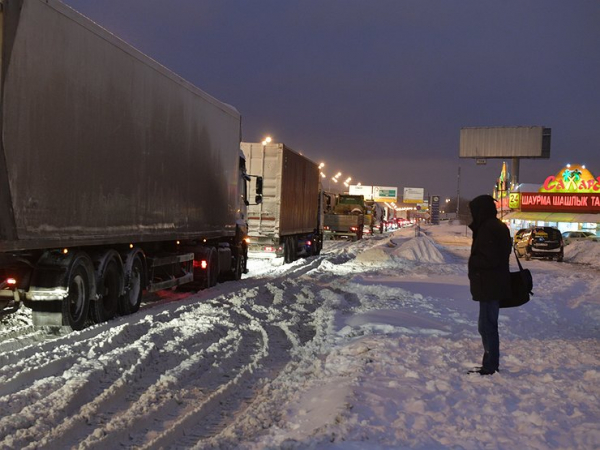 Почему в столичных пробках начали продавать гигантских игрушечных гусей