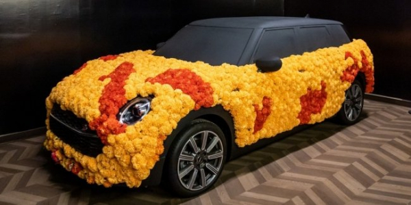MINI Clubman перетворили на незвичайний витвір мистецтва MINI Clubman перетворили на незвичайний витвір мистецтва