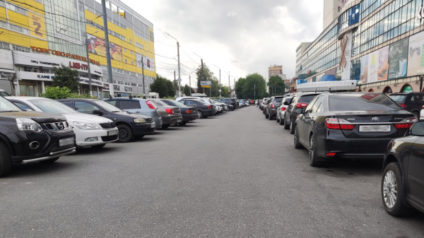 Юрист сообщила, почему не надо оставлять свой номер телефона лобовым стеклом авто