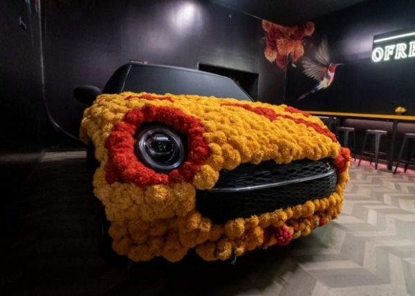 MINI Clubman перетворили на незвичайний витвір мистецтва MINI Clubman перетворили на незвичайний витвір мистецтва