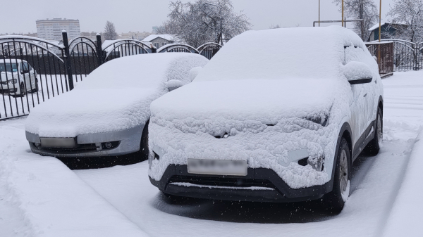 В морозы автомобиль свистит, гудит и трясется: эксперты объяснили почему