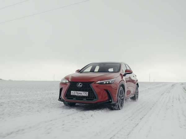 &laquo;Глюки&raquo; владения: самые неубиваемые и беспроблемные кроссоверы в России