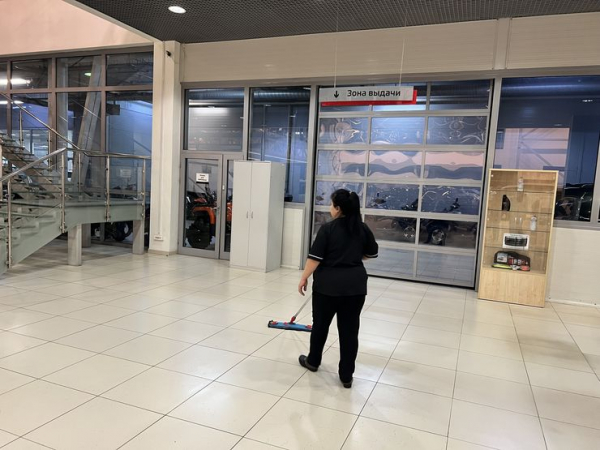 Сомнительное изобилие иномарок: &laquo;серые&raquo; поставки не спасли российский авторынок от краха