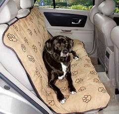 Перевозка собаки в машине: правила и приспособления