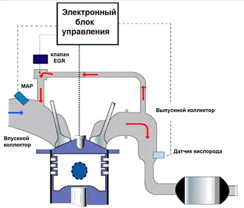EGR: система рециркуляции отработавших газов EGR: система рециркуляции отработавших газов