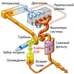 EGR: система рециркуляции отработавших газов EGR: система рециркуляции отработавших газов