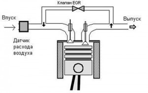 EGR: система рециркуляции отработавших газов EGR: система рециркуляции отработавших газов