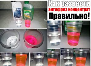 Как развести концентрат антифриза правильно Как развести концентрат антифриза правильно