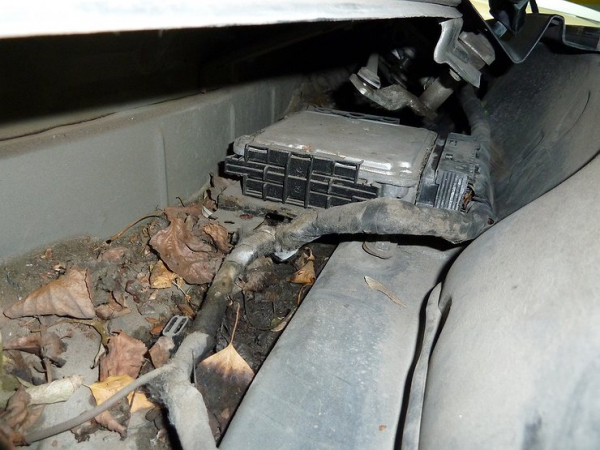 5 мест под капотом, которые критически важно регулярно чистить