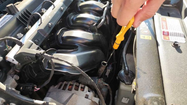 Много не значит хорошо: назван оптимальный уровень масла, чтобы двигатель служил долго