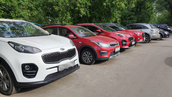 Названы автомобили, которые чаще всего портят вандалы в России Названы автомобили, которые чаще всего портят вандалы в России