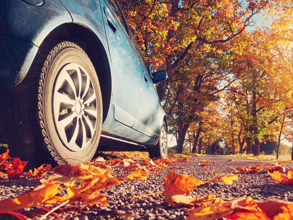 Почему осенью нужно обязательно &laquo;поить&raquo; машину водкой