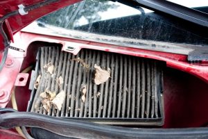 Салонный фильтр Калина: подбор и замена своими руками