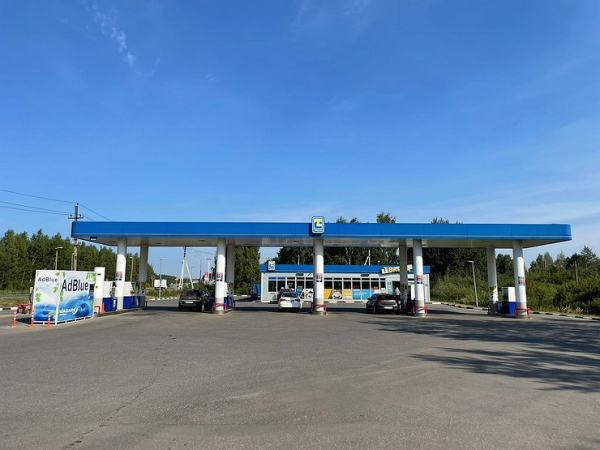 Те же яйца, только в профиль: почему бензин в России не подешевеет Те же яйца, только в профиль: почему бензин в России не подешевеет