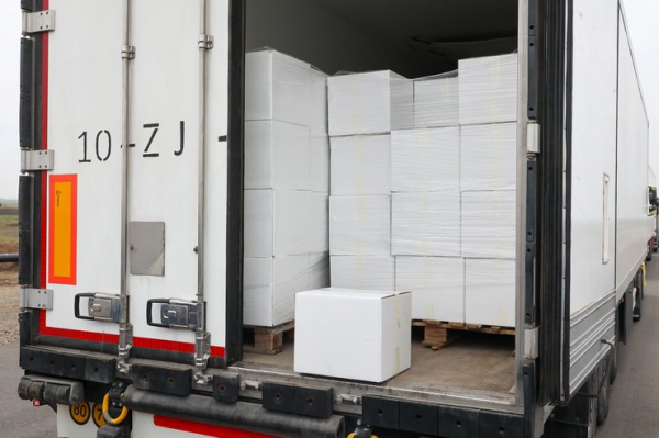 Частичная ремиссия или полное выздоровление: что происходит с российским рынком грузоперевозок