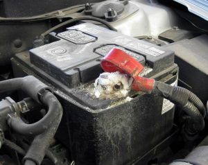 Греется клемма на аккумуляторе: основные причины нагрева клемм и способы решения проблемы