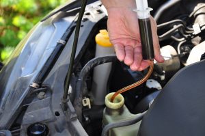 Масло ГУР Форд Фокус 2: подбор жидкости ГУР и замена