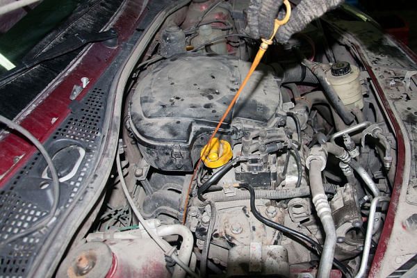 Попытка &ndash; не пытка: можно ли победить масложор сменой марки моторного масла