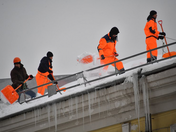 За битые снегом и деревьями машины коммунальщиков накажут страховкой