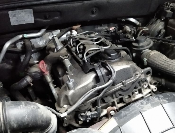 Моторные масла, поступающие на наш рынок, стали массово тестировать