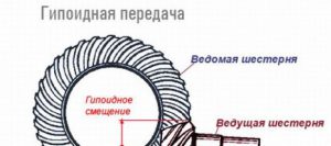 Принцип работы и устройство гипоидной передачи