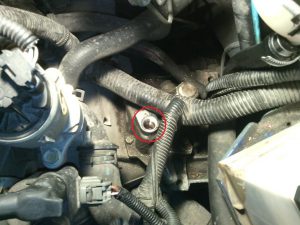 Замена масла в коробке Nexia: как поменять масло в КПП &laquo;Нексия&raquo;