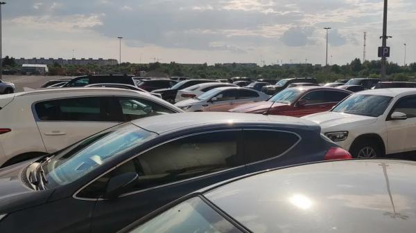 Не только для оливье - зачем некоторые водители натирают кузов автомобиля майонезом