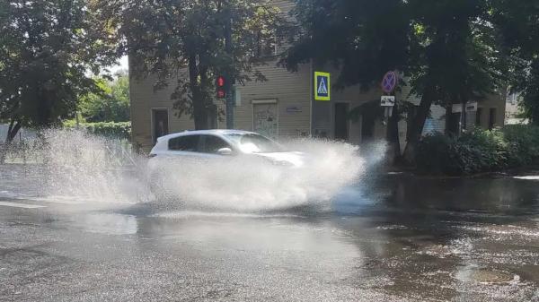 Потерял номер автомобиля? Как правильно поступить, чтобы не лишиться водительских прав