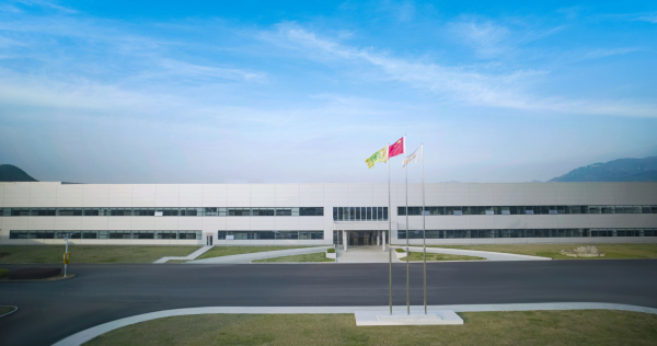 Бренд Soueast: история и перспективы