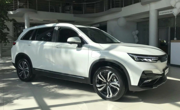 На российском рынке стало меньше недорогих электрокаров На российском рынке стало меньше недорогих электрокаров