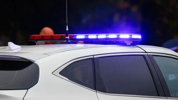 Новогодний сюрприз: как не нарваться на штраф ГАИ при перевозке елки Новогодний сюрприз: как не нарваться на штраф ГАИ при перевозке елки