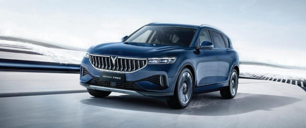 Стали известны самые популярные гибридные автомобили у россиян в 2024 году