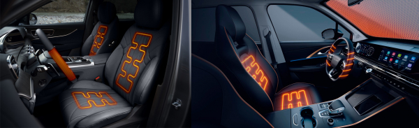 Omoda и Jaecoo: теплые опции